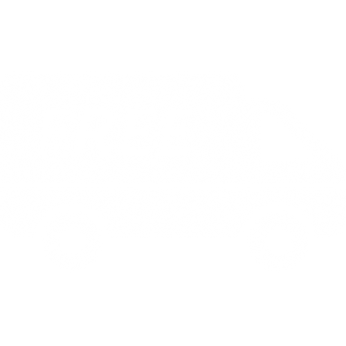 Priority Shipping